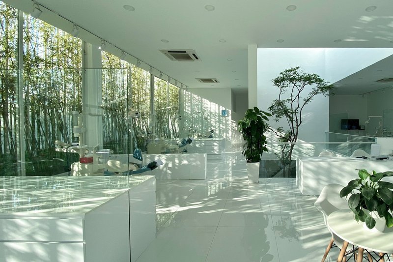 White interior office space with dappled sunlight from bamboo screening on glass walls and polished floor