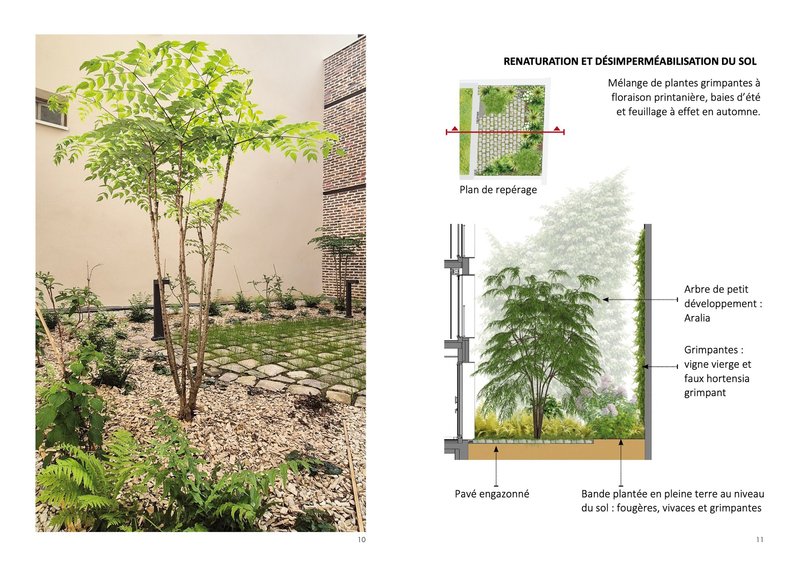 Courtyard garden with young trees and gravel beds between brick walls under soft daylight
