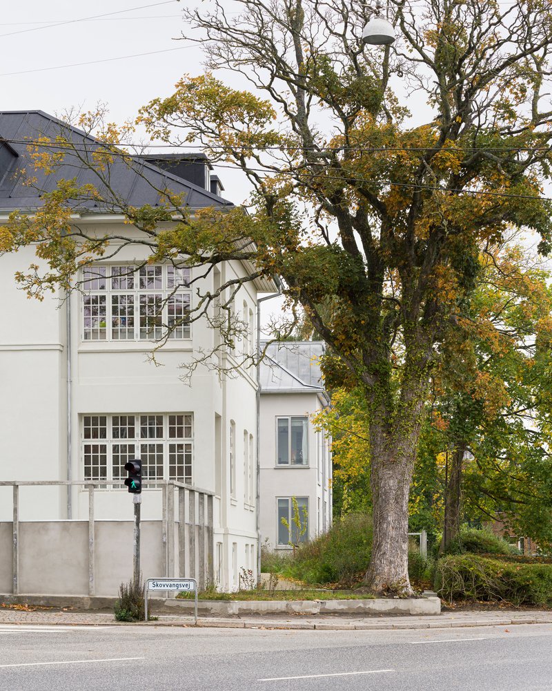 White facade with grid windows facing roadway bordered by mature deciduous trees in autumn