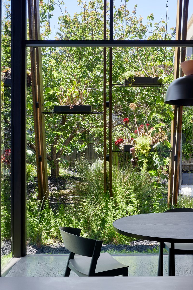 View through steel-framed glazing to planted courtyard with grasses and timber pergola structure beyond
