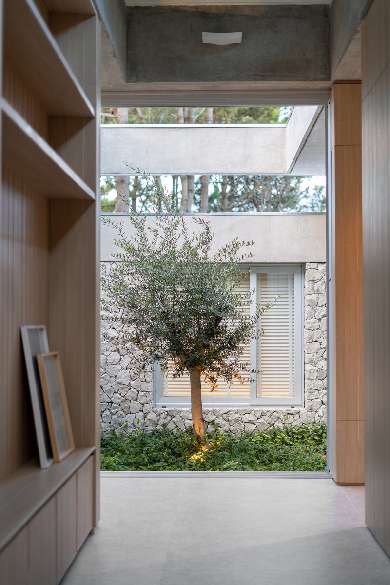 Timber-lined corridor with built-in shelving opening to courtyard with an olive tree and stone wall