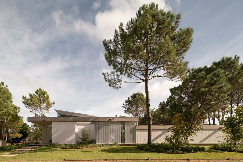 Horizontal elevation showing ribbed cladding panels and low-pitched roof amid mature pines