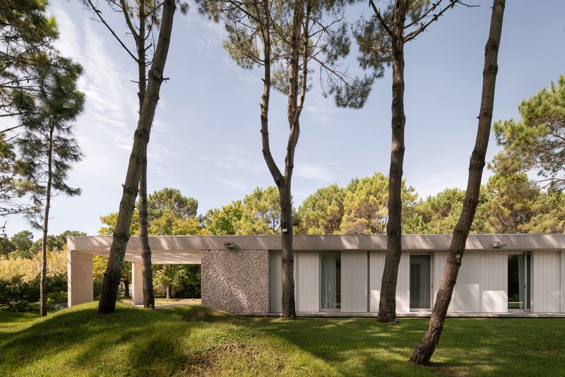 White rendered facade with vertical paneling and textured masonry walls among tall pine trees