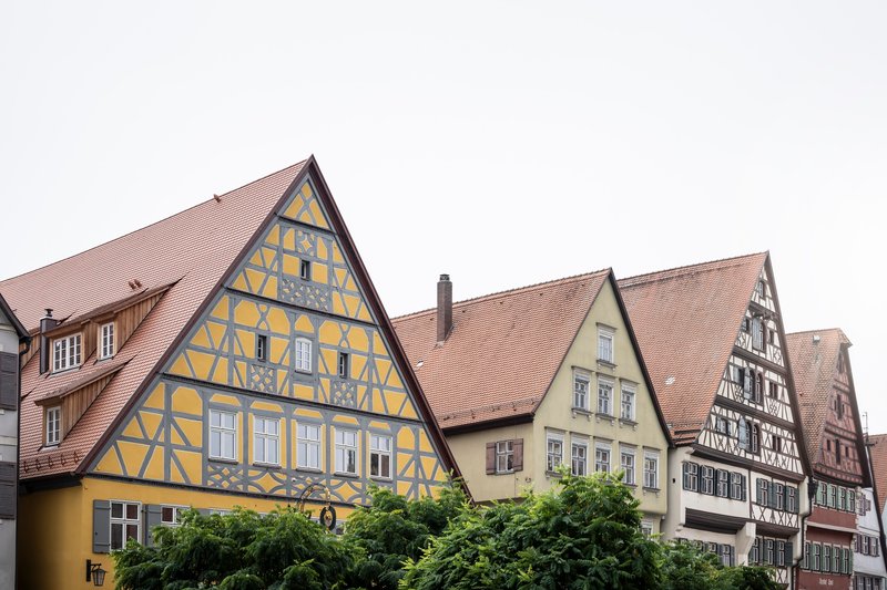 Street view of clustered timber-framed buildings with steep tiled roofs above a row of trees