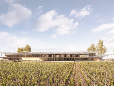 Overstory: Sustainable Architecture Reimagines the Winery as a Living Ecological Canopy