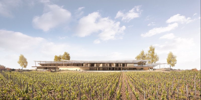 Overstory: Sustainable Architecture Reimagines the Winery as a Living Ecological Canopy