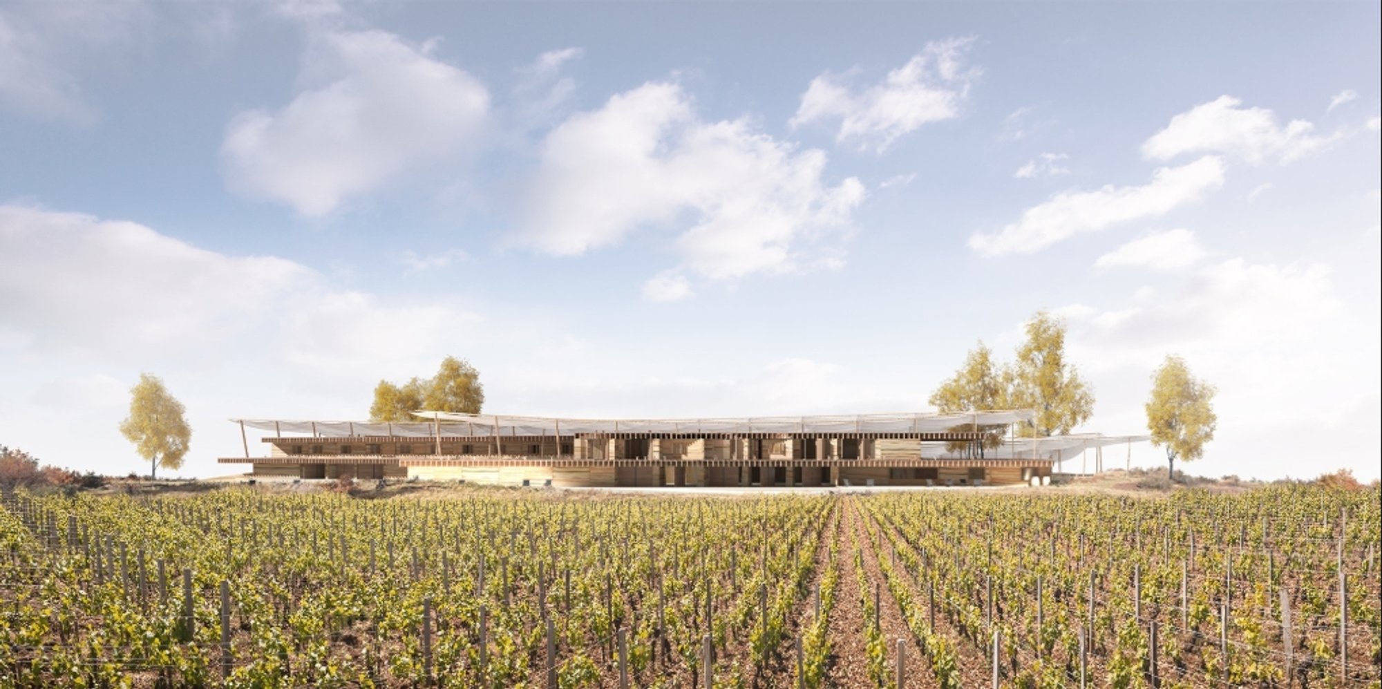 Overstory: Sustainable Architecture Reimagines the Winery as a Living Ecological Canopy