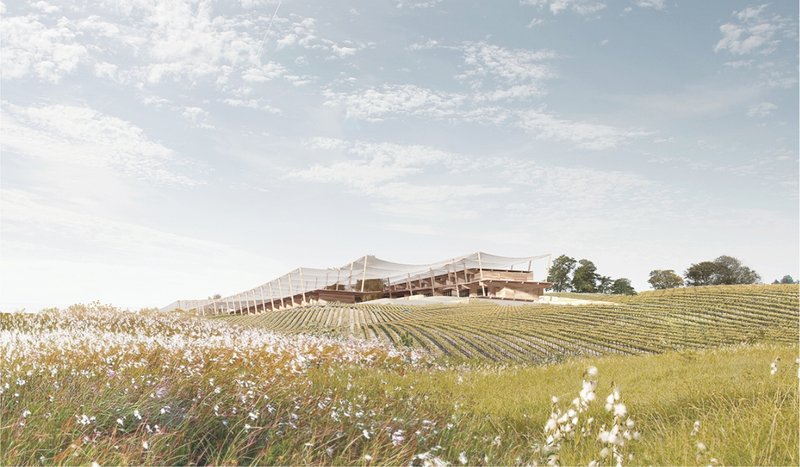 Overstory’s lightweight canopy rises gently above the vineyard, merging architecture with the cultivated landscape.