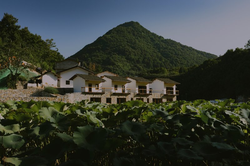 Stone-base residential row with white upper volumes and pitched roofs framed by a lotus pond