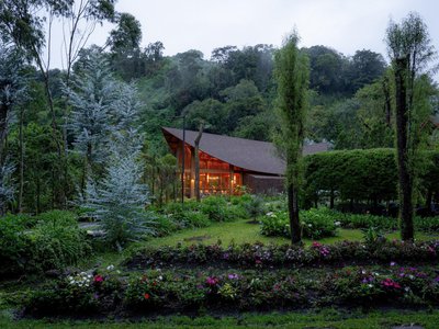 Mallol Builds a Cedar Ark on the Misty Slopes of Panama's Volcán Barú