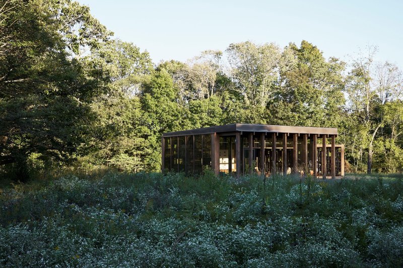 Timber pavilion with vertical wood screens and glazing nestled in an overgrown meadow beneath tall trees