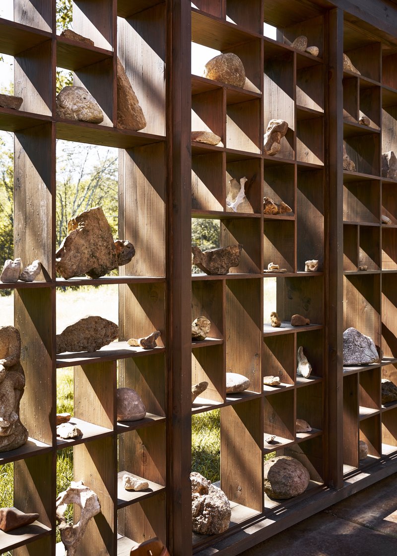 Timber grid shelving holding rocks and fossils with dappled sunlight filtering through from the wooded landscape beyond