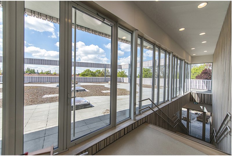 Large windows connect the school interior to roof terraces, daylight, and the surrounding green landscape.