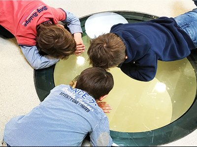 IKC de Geluksvogel: Sustainable School Architecture Designed for Free Movement and Digital Learning