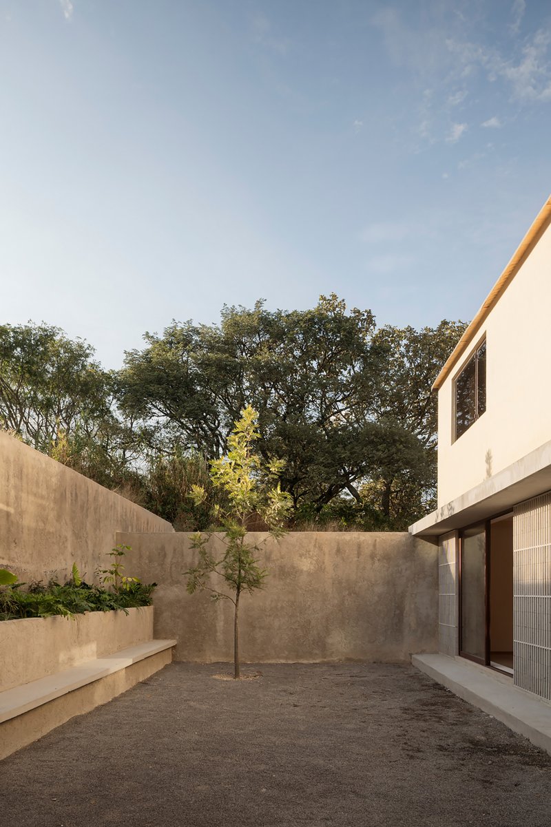 Enclosed courtyard with rammed earth walls, a young tree, and mature oaks visible beyond at dusk