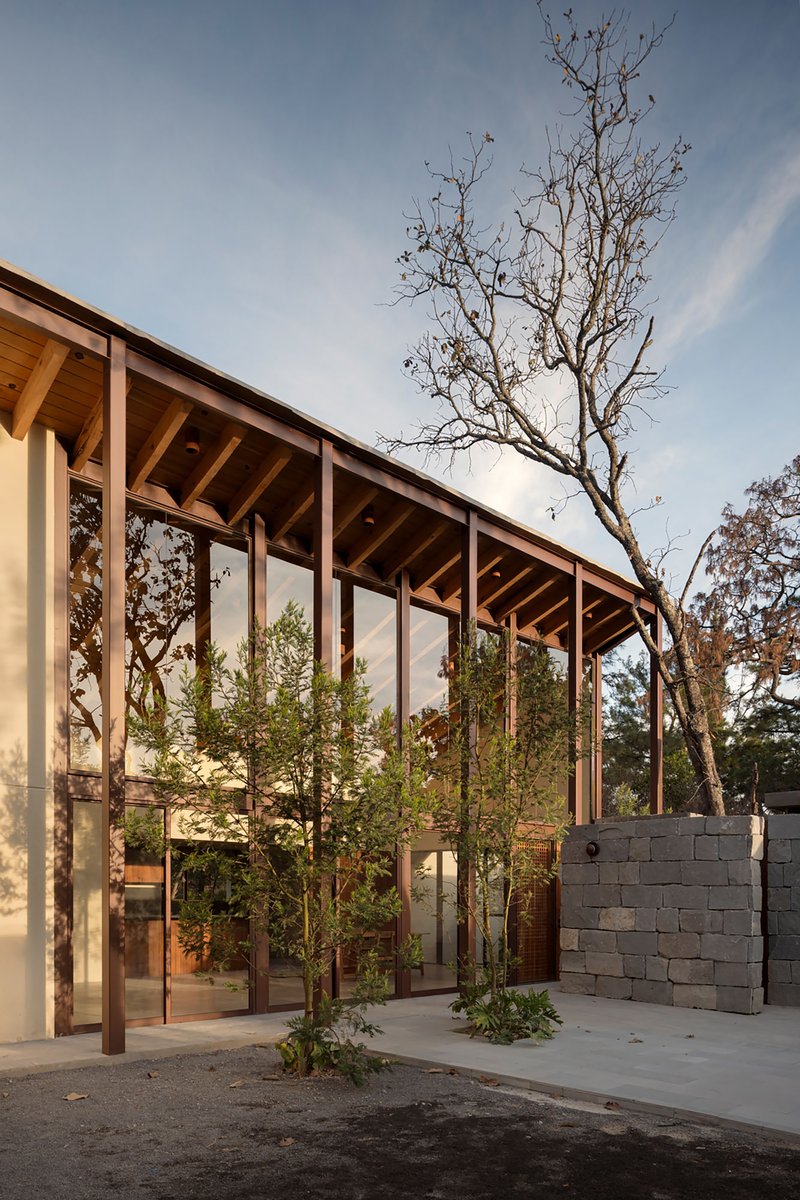 ALMA de Arquitectos Bends a Forest Cabin Around the Trees It Refused to Cut