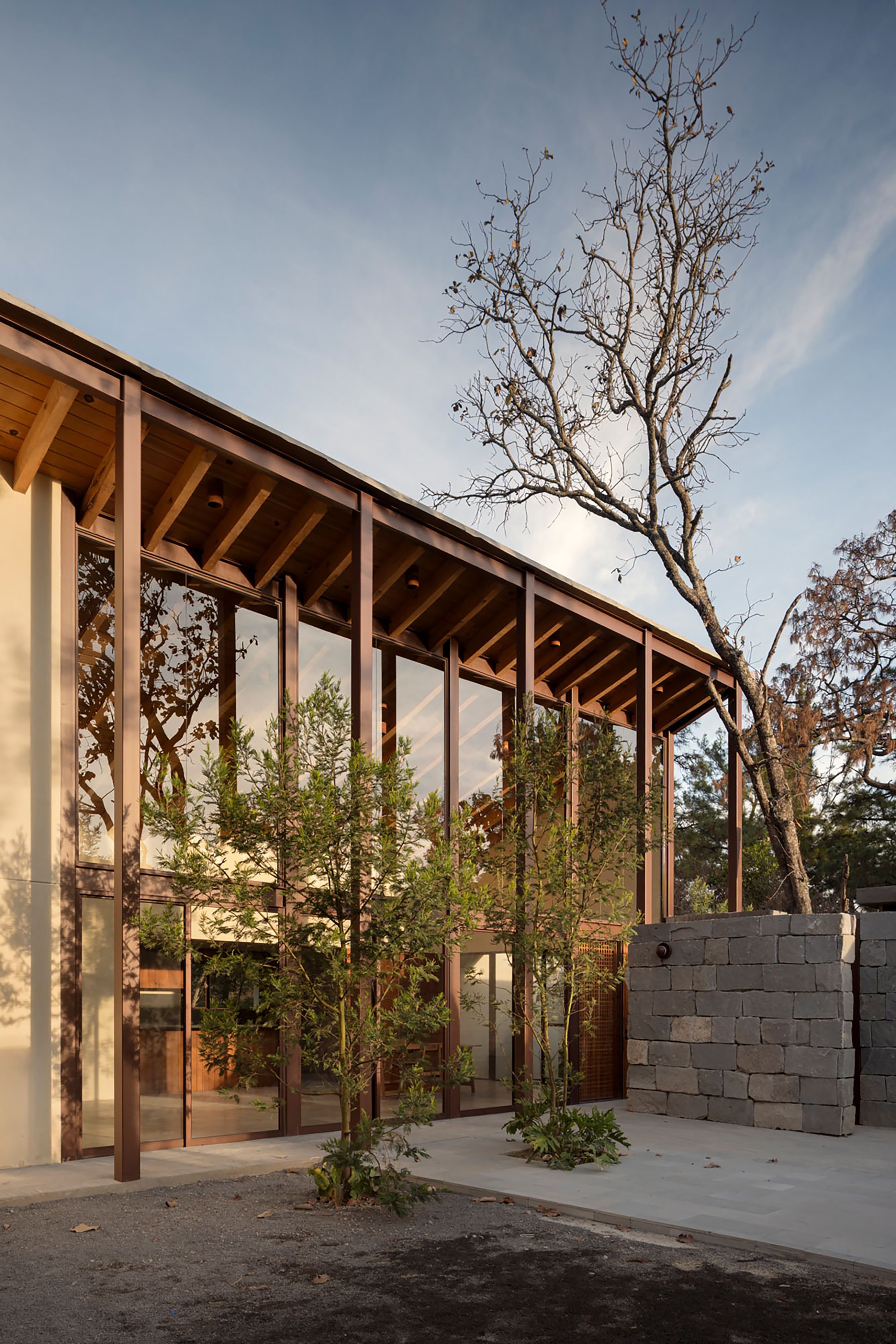 ALMA de Arquitectos Bends a Forest Cabin Around the Trees It Refused to Cut
