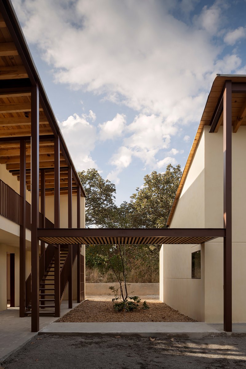 Courtyard framed by two volumes with slatted timber pergola and planted bed under midday clouds