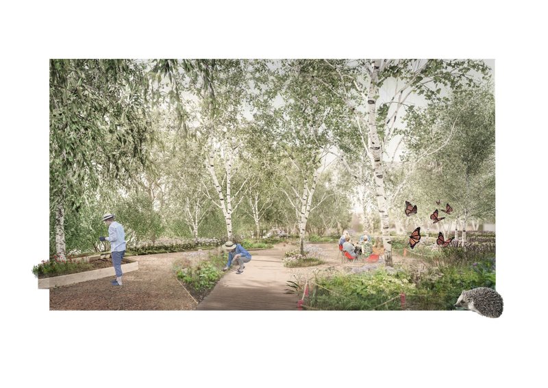 Community garden and Tiny Forest