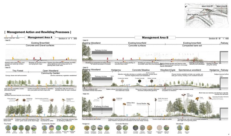 Rewilding Processes of Area A and B