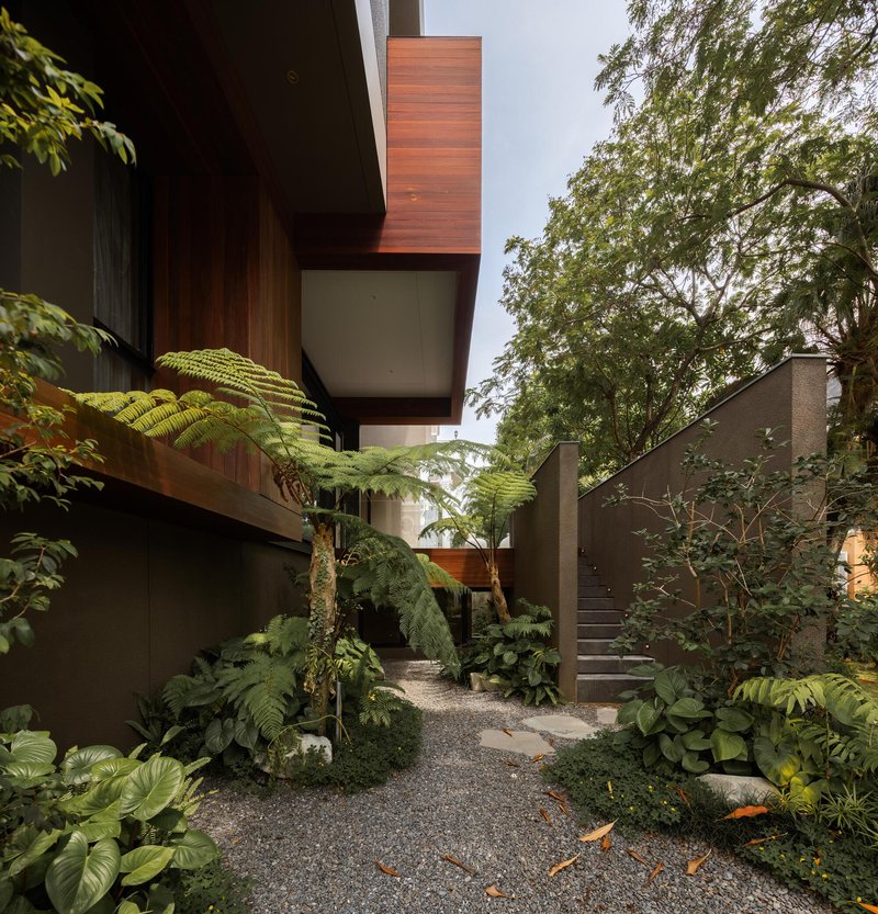 Gravel courtyard with tree ferns and stone steps leading between timber and concrete volumes