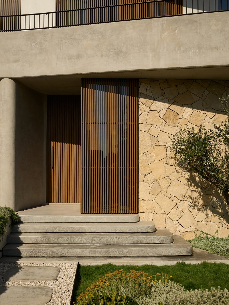 Entry staircase with pale concrete treads leading to a timber-screened entrance beside an olive tree