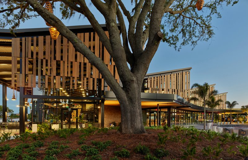 Elevated timber-screened volumes on steel columns beneath a large oak tree at dusk