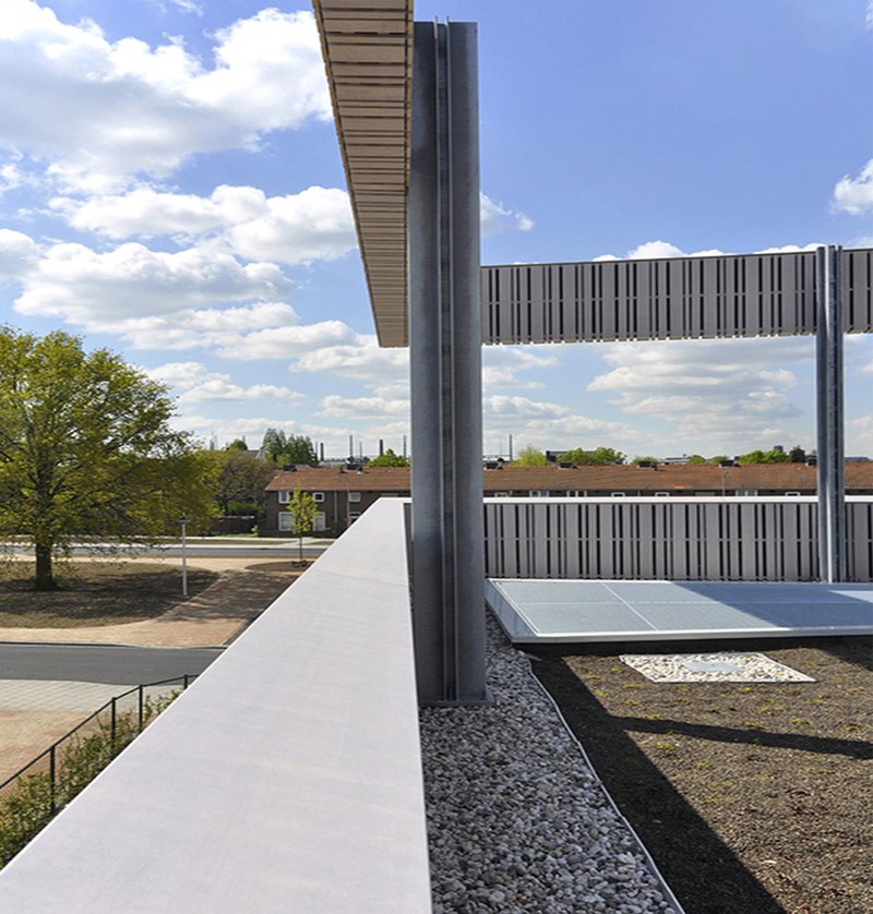 Rooftop terrace connects green learning spaces with open views across Maastricht.