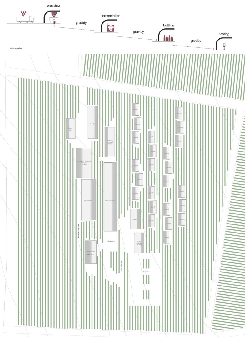 Gravity-fed production sequence organizes pressing, fermentation, bottling, and tasting across the natural site slope.