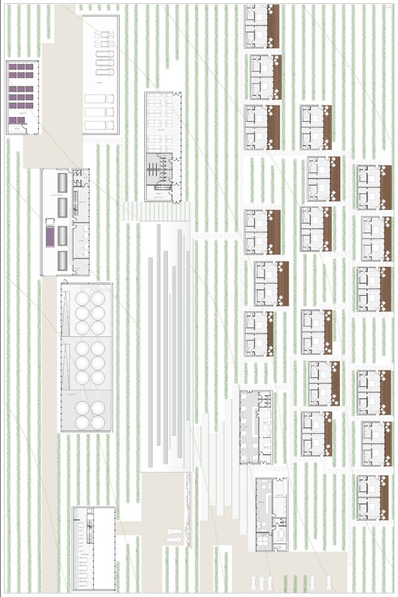 Master plan integrating winery production, hospitality, and guest accommodation within the vineyard rows.
