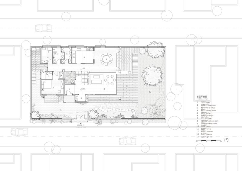 Ground floor plan drawing showing living spaces alongside courtyard garden with two circular tree canopies