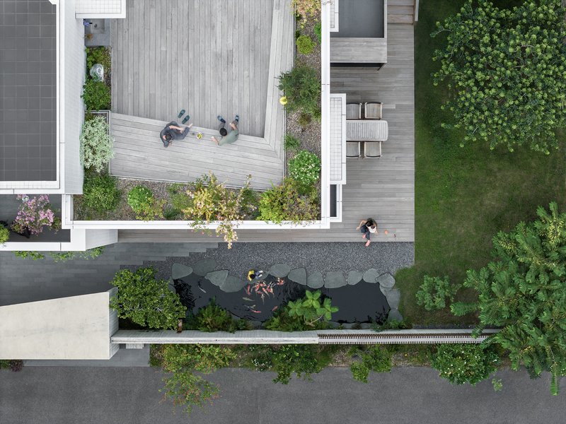 Aerial view of timber decks, koi pond with residents, and planted beds between house volumes