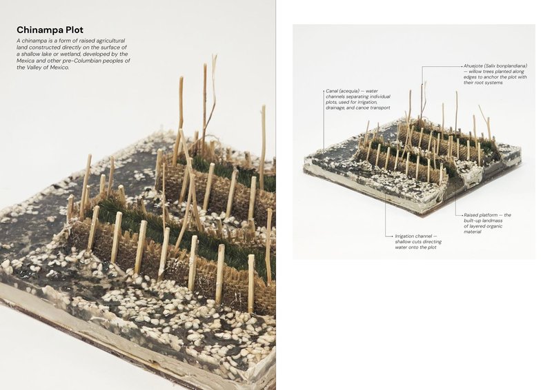 Chinampa Plot