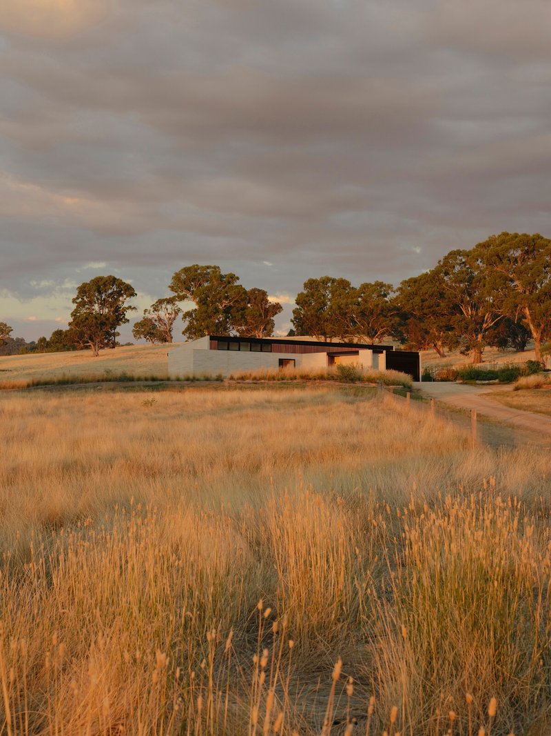 Linear pavilion nestled in dry grassland with eucalyptus trees in warm late afternoon light
