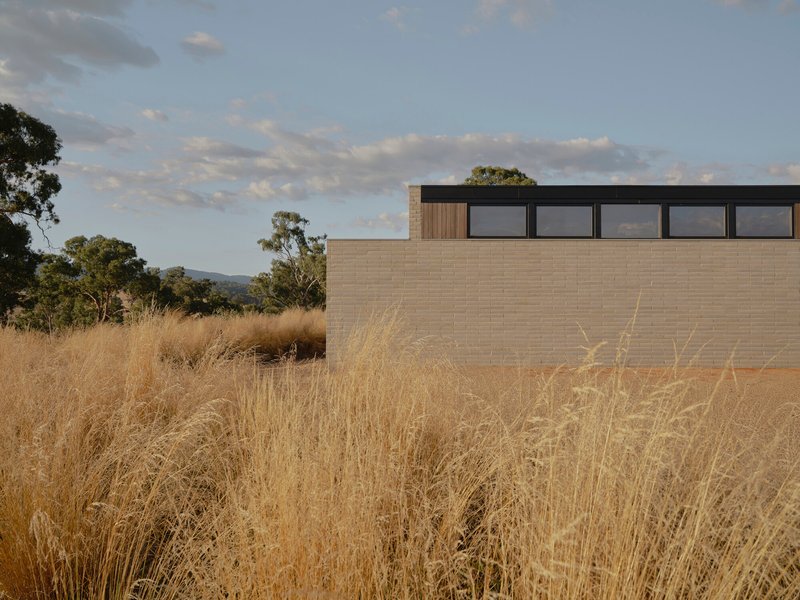 Masonry wall volume with timber clerestory rising above native grasses in late afternoon light
