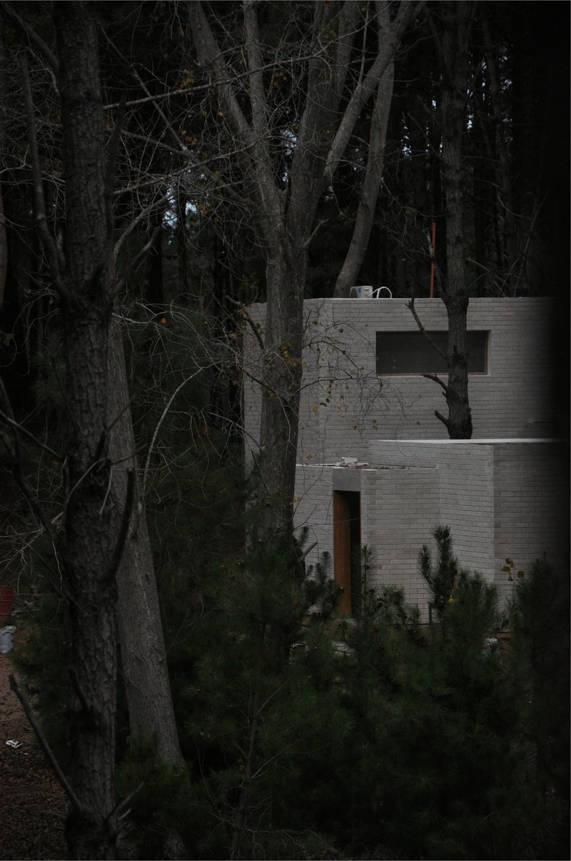 arquitectura.te Plants Three Pale Volumes in an Argentine Pine Forest to Stand Out, Not Blend In