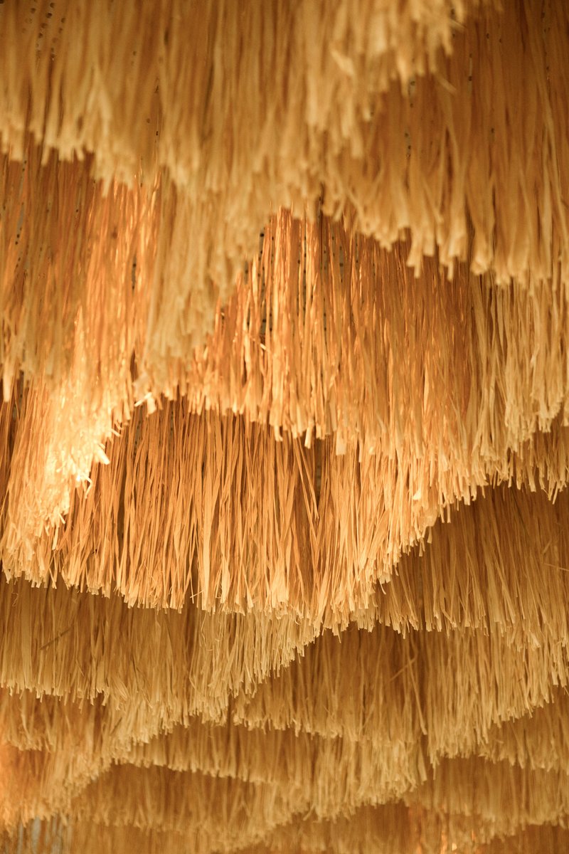 Layered raffia or straw ceiling material illuminated from within showing textured fringe edges