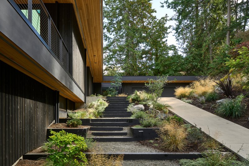 Exterior staircase with dark treads ascending through native grasses toward timber clad volumes