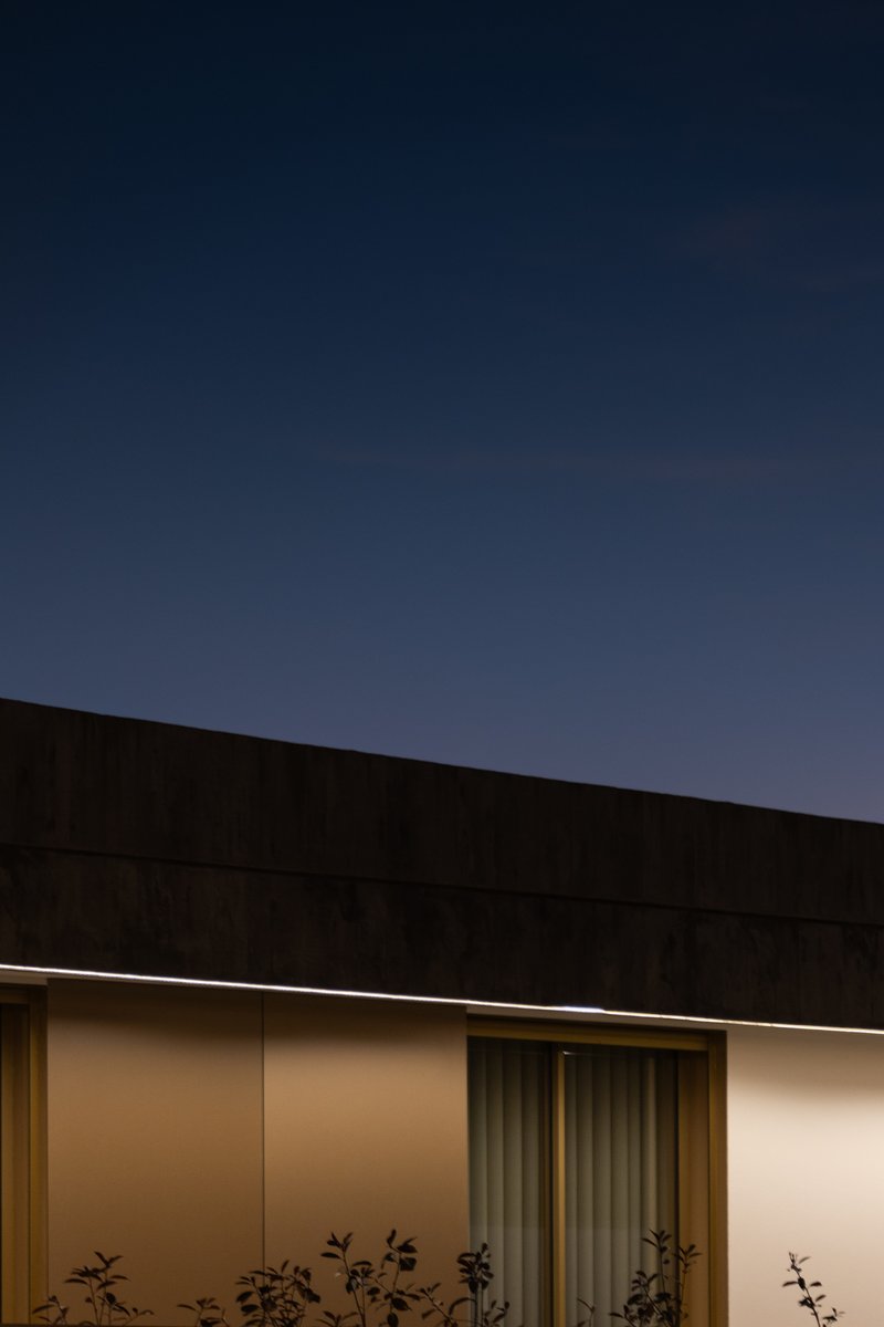Horizontal band of light defining the recessed soffit above bronze panels and bamboo at twilight