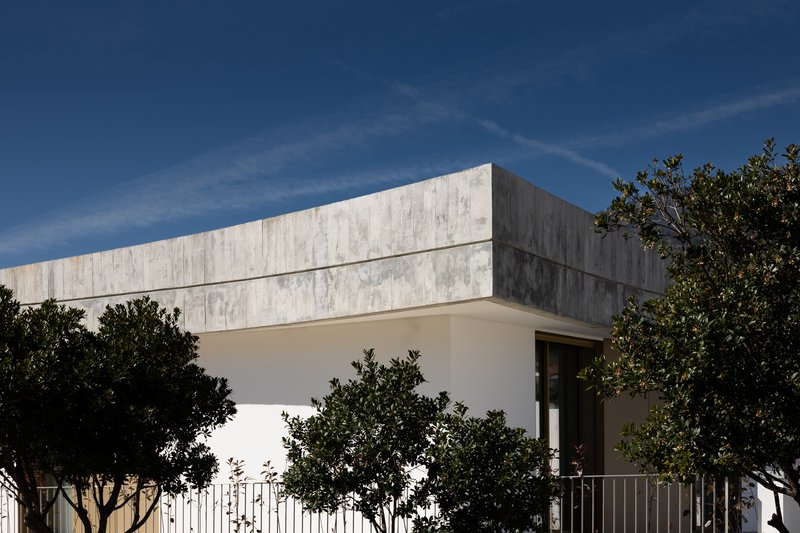 Street facade with board-formed concrete upper volume floating above white stucco walls and mature trees