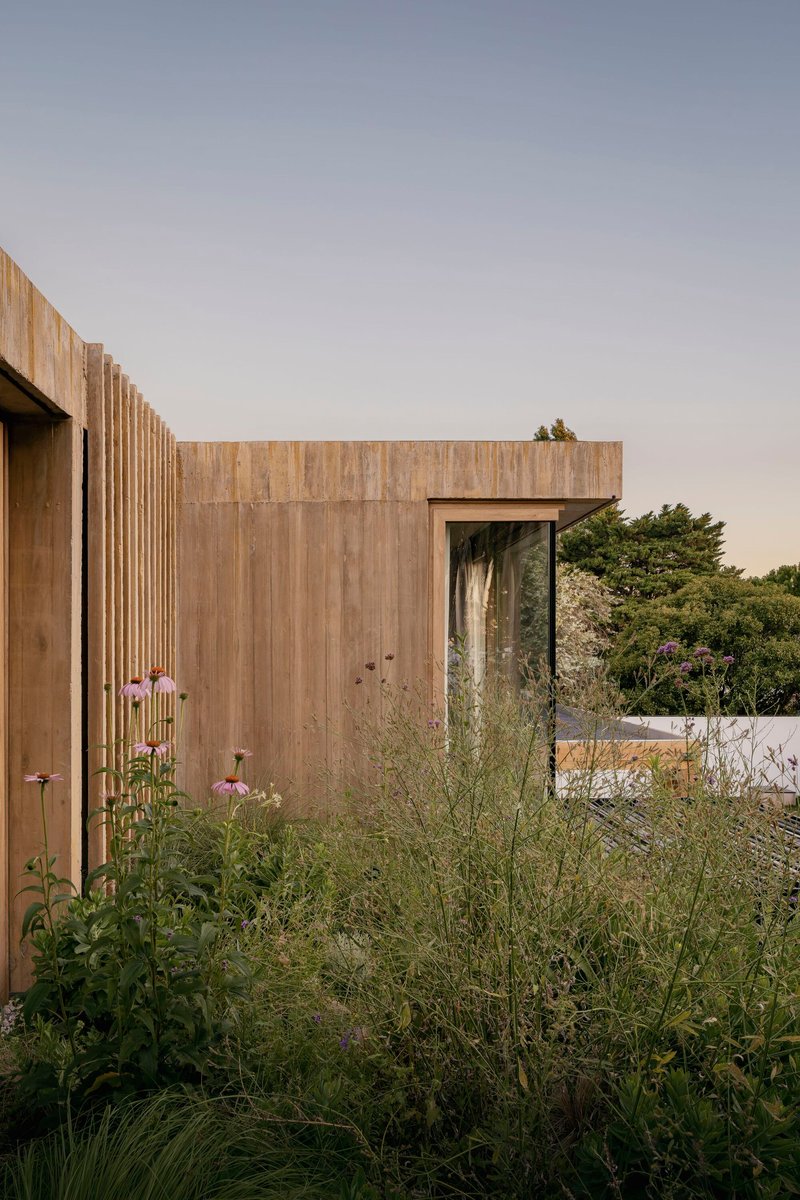 Timber-clad volumes seen through wildflower meadow planting at dusk