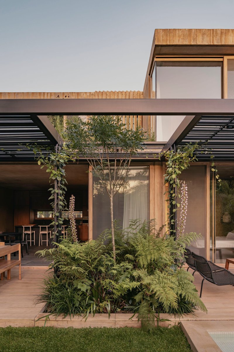 Courtyard with planted bed and tree framed by timber-clad upper volume and horizontal louvers at dusk
