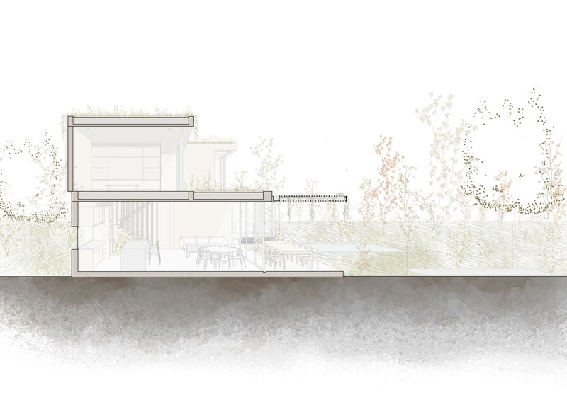 Section drawing showing a timber-clad volume with exterior deck extending into the landscape