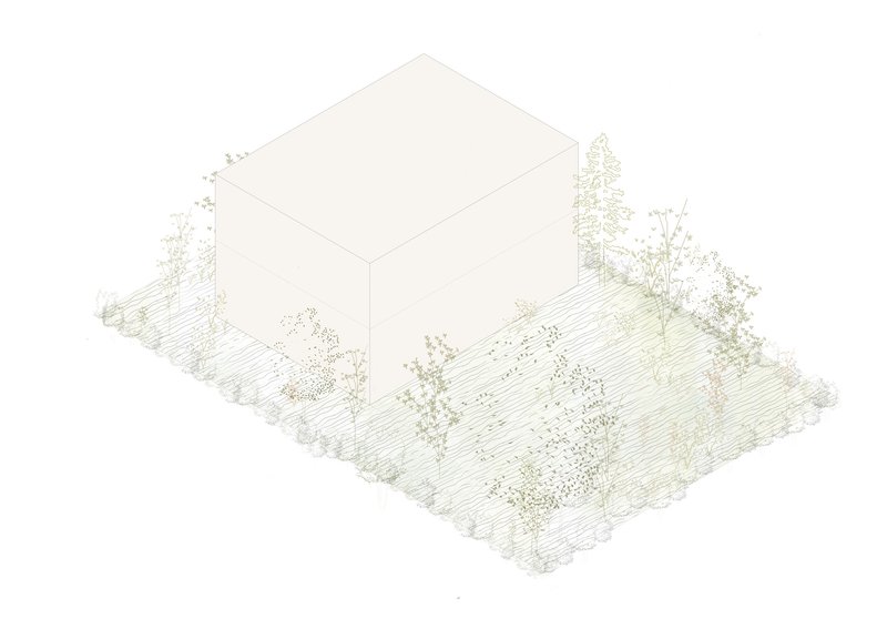 Isometric drawing showing a cubic volume set within a landscaped slope with native plantings