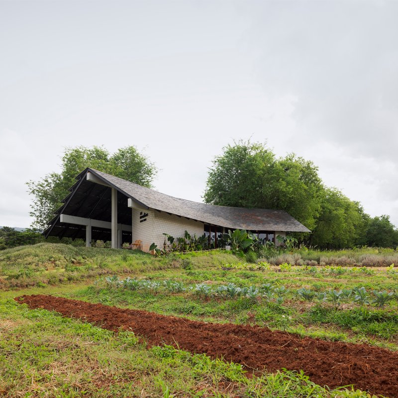 Low-slung pavilion with sweeping tiled roof set within rows of planted crops on red earth