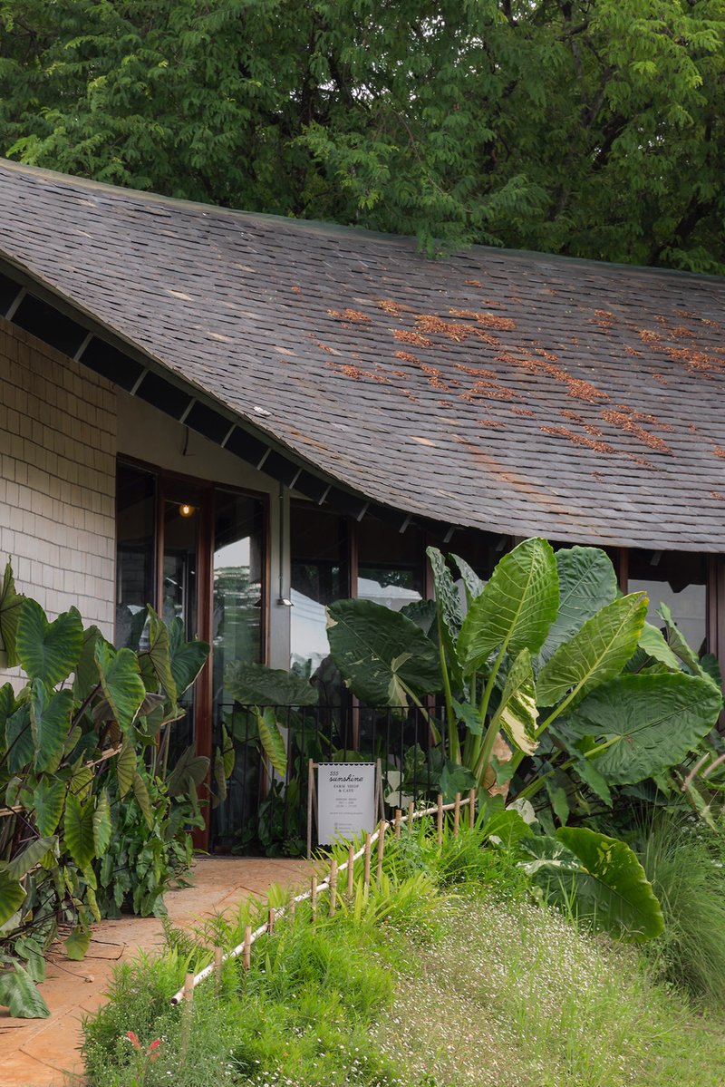 Low-pitched roof with dark shingles and fallen leaves above an entrance surrounded by banana plants