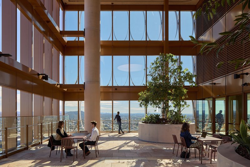High-rise interior lounge with floor-to-ceiling glass walls and a central planted tree in afternoon sun