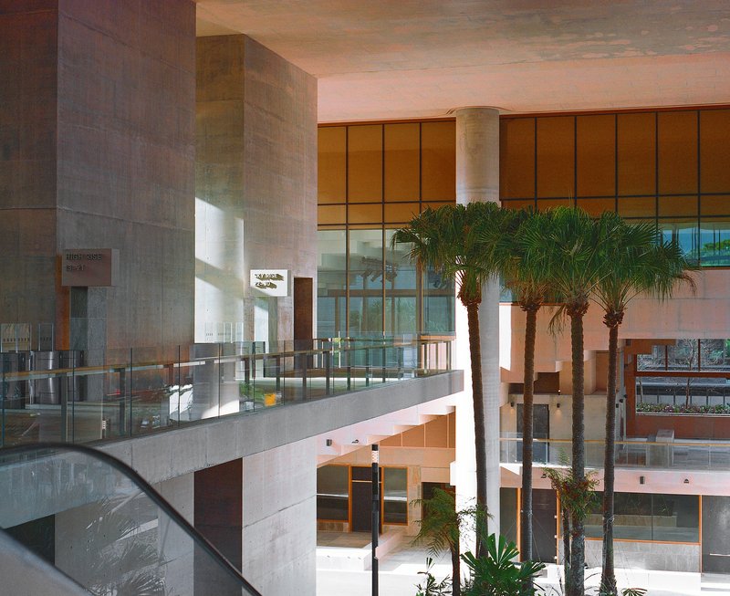 Multi-level atrium with concrete bridges crossing between levels with tall palm trees rising through the space in daylight