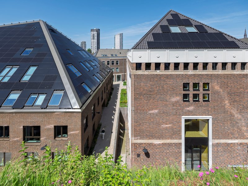 Rooftop view of green roof terrace with brick gable facades and solar panel roofs in background
