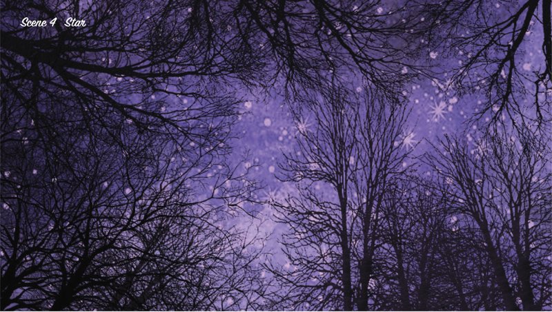 Scene 4 creates a contemplative night atmosphere, where trees frame the sky and stars become part of the spiritual journey.